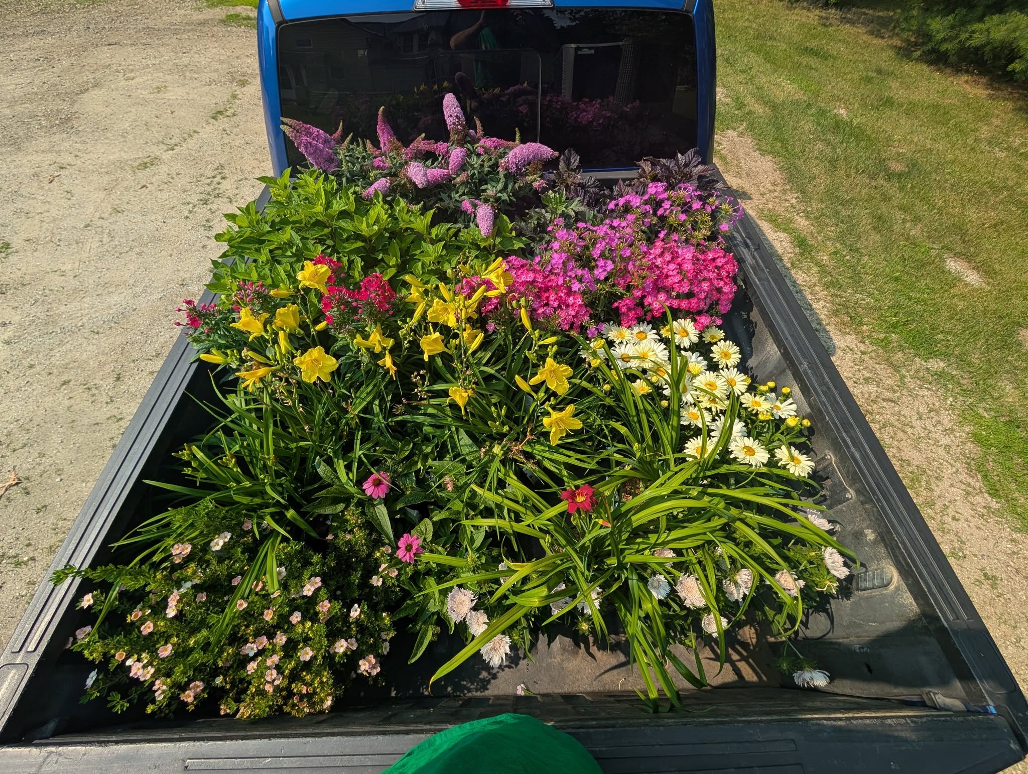 Summer Project 2