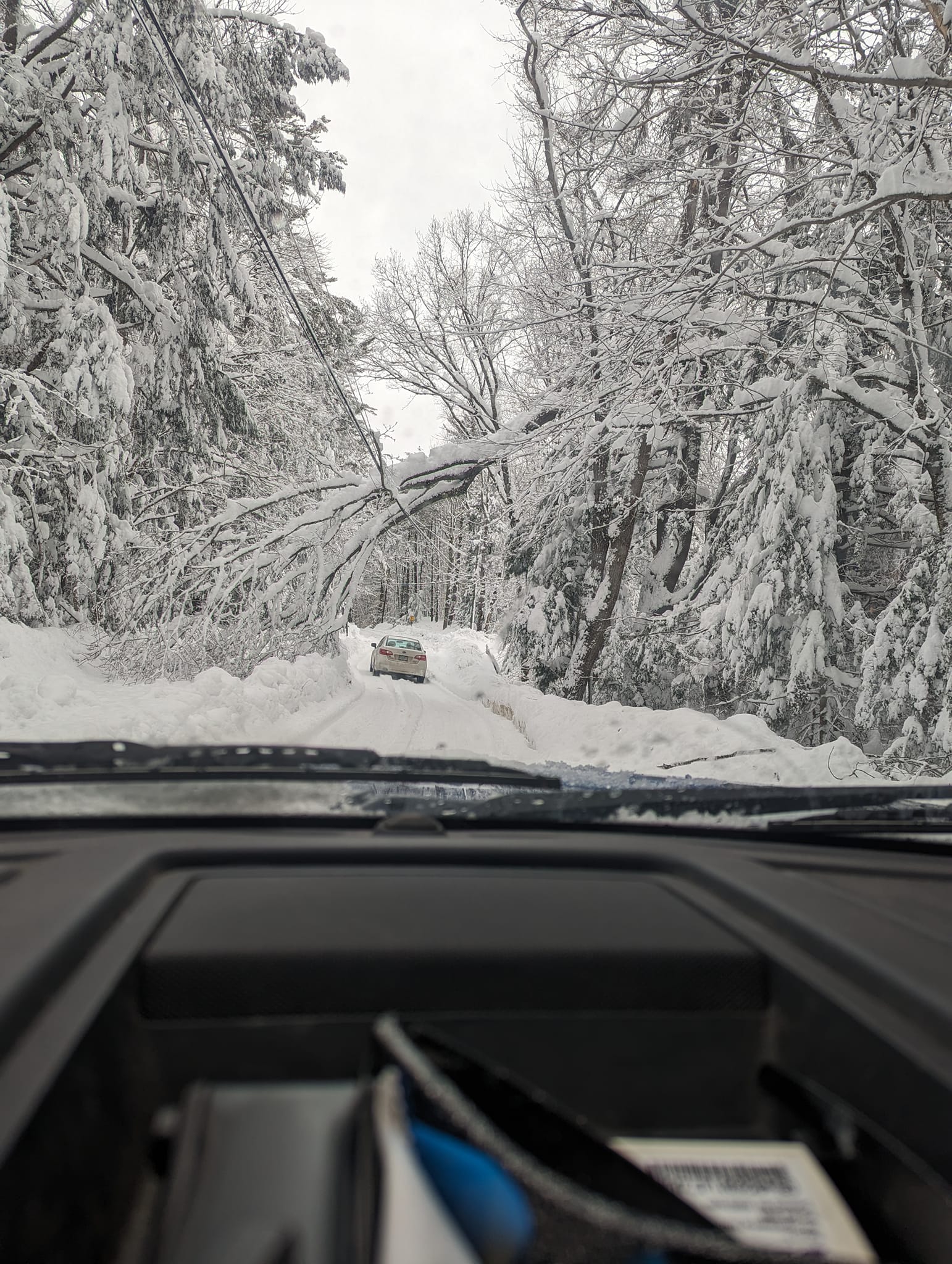 Winter Project 3