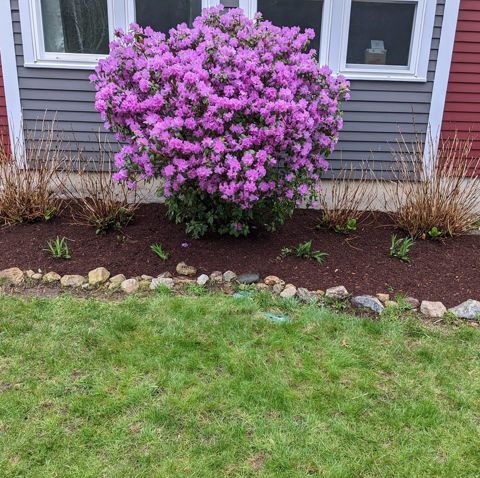 Summer Project