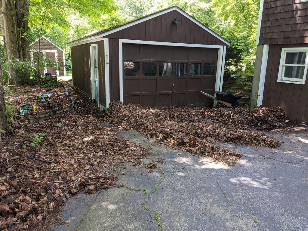 Fall Project